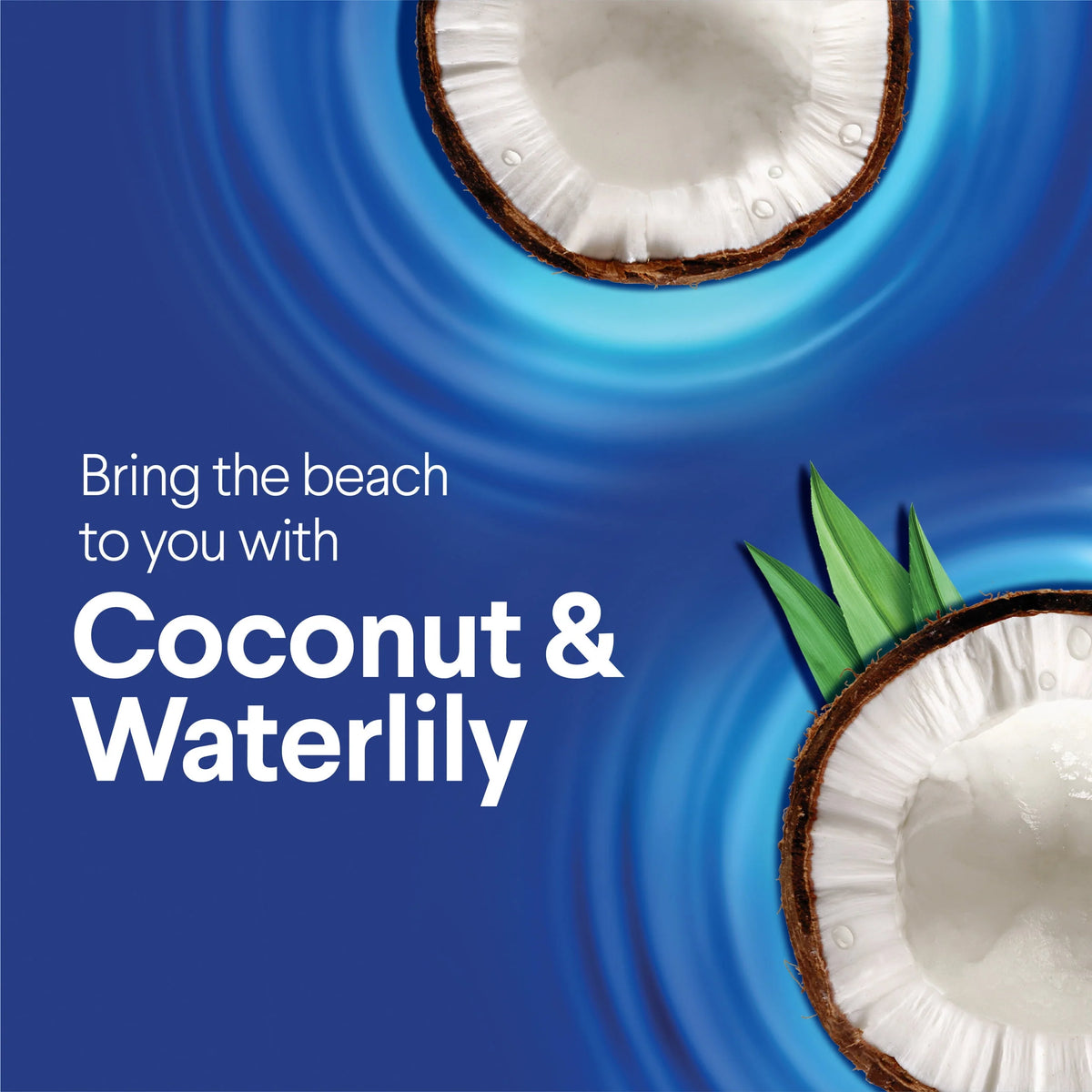 Coconut and Waterlily Cleaning Wipes 225 Count 3 Pack M405853