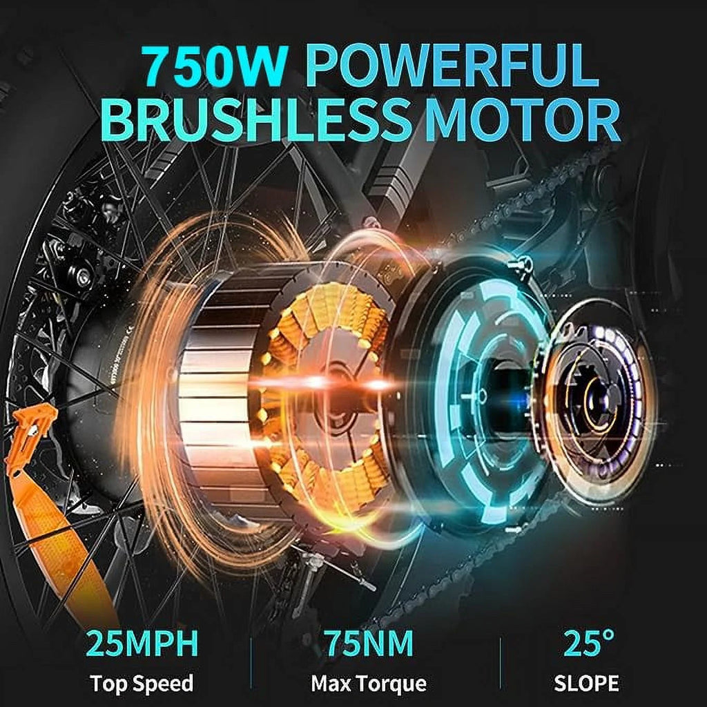 750W 48V 15Ah Electric Bike with 20 4.0 Fat Tire T476