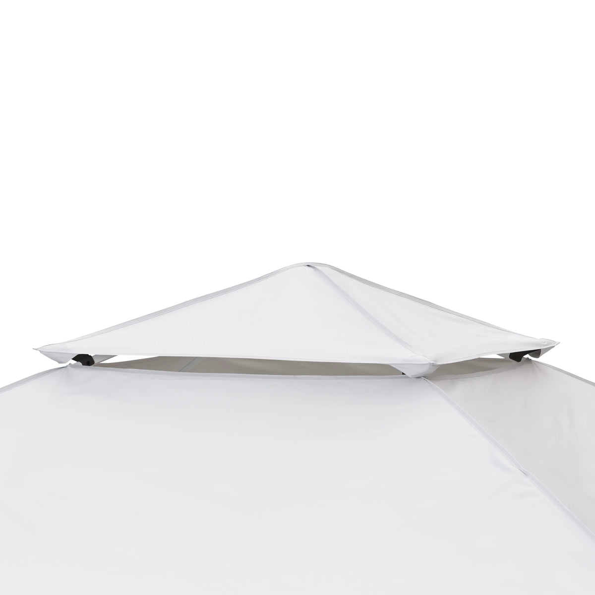 10' x 10' Dual Peak Canopy A203828