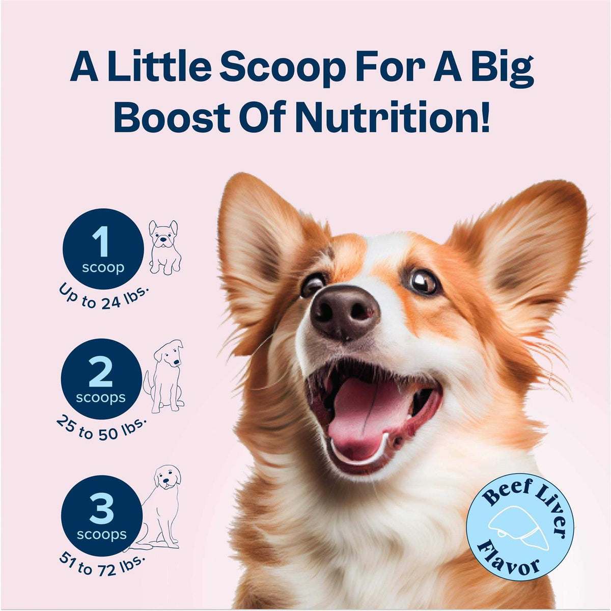 Dog Prenatal Vitamins with Iron, D3 and Folic Acid H947938