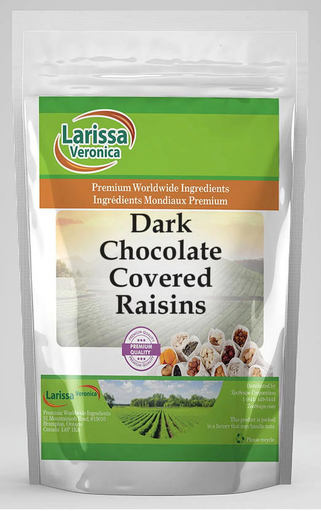 Dark Chocolate Covered Raisins 8 oz T23206