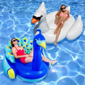 Peacock and White Swan Swimming Pool Float Set R32168