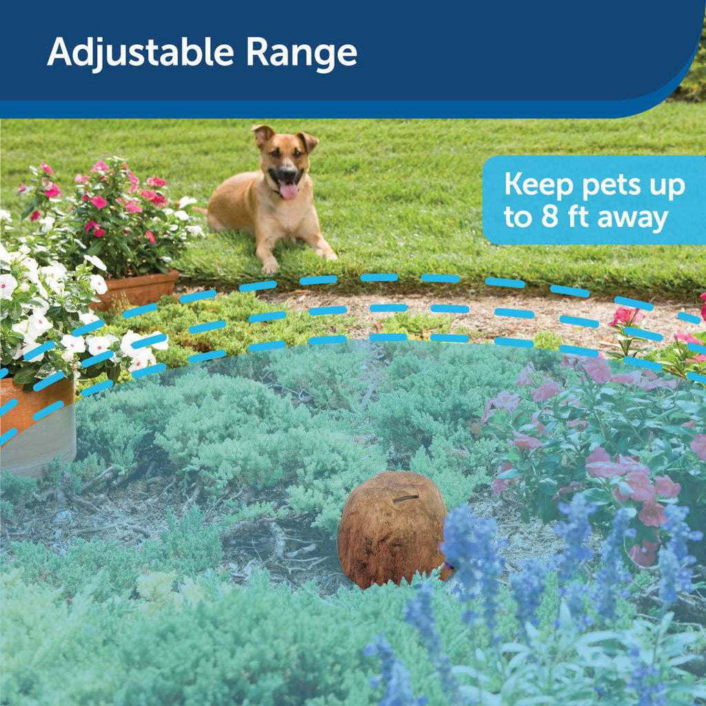 Outdoor Pet Barrier Y419936