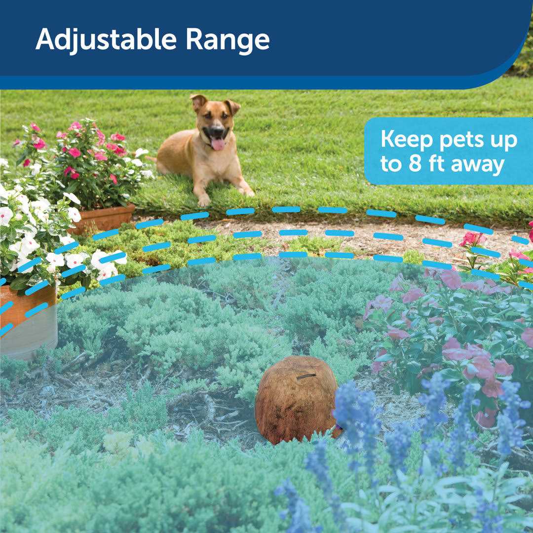 Outdoor Pet Barrier Y419936
