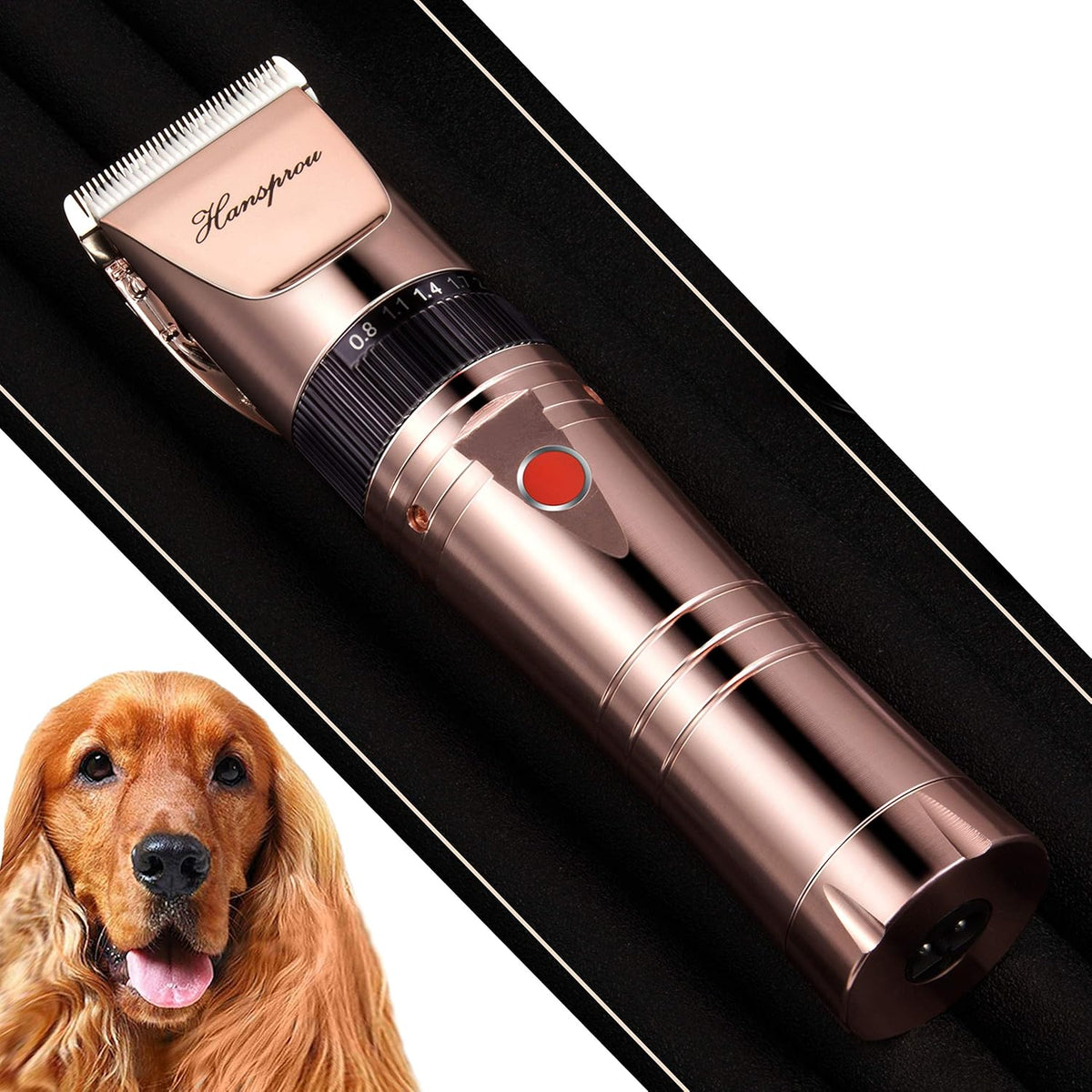 Dog Shaver Clippers with Guard Combs Brush, Pack of 2 Y228