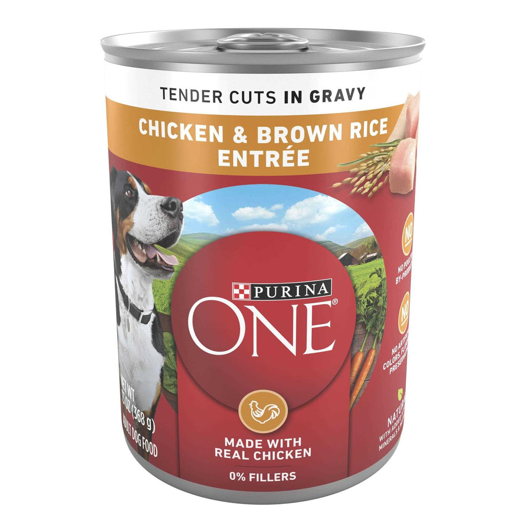 Chicken and Brown Rice Wet Dog Food B187014