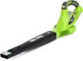 40V Cordless Leaf Blower with 4.0Ah Battery and Charger T382345